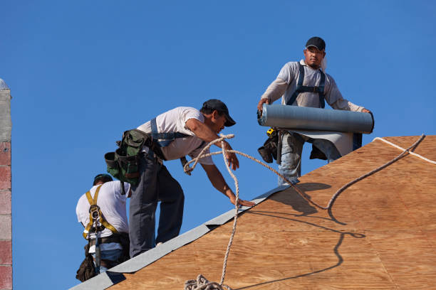 Best Flat Roof Repair Services  in Porcupine, SD